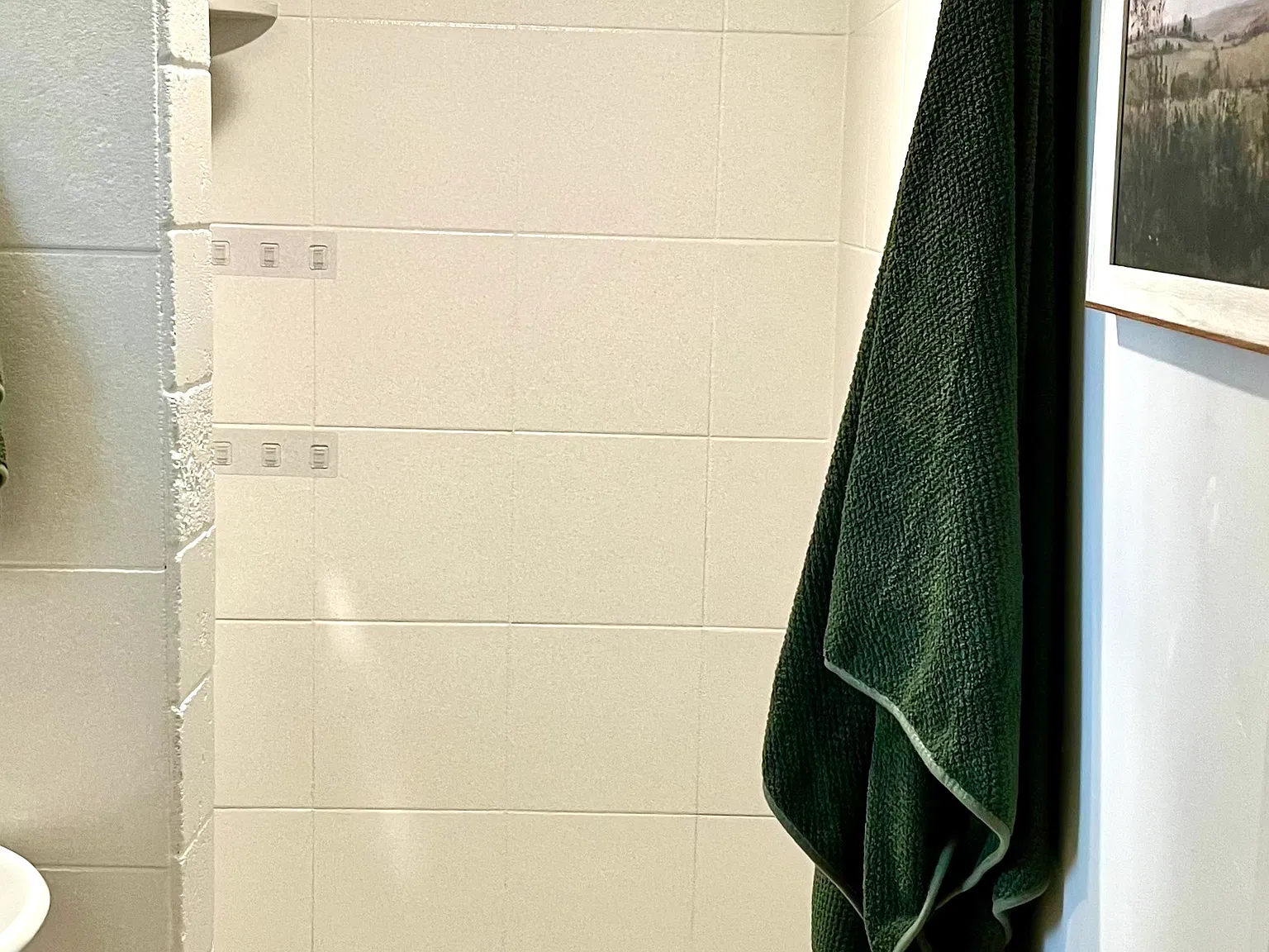 1 bed, 350 sqft, $1,177 — Photo 3