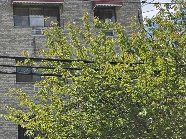 720 E 220th Street, Bronx, NY 10467