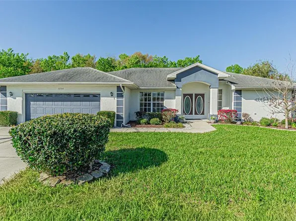 10504 Moshie Ln, San Antonio, FL 33576