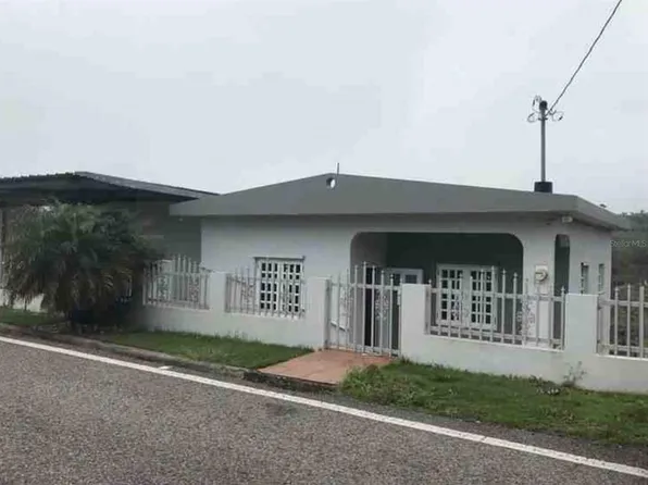 Carr569 Km 5.6 Sector La Milagrosa, Orocovis, PR 00720
