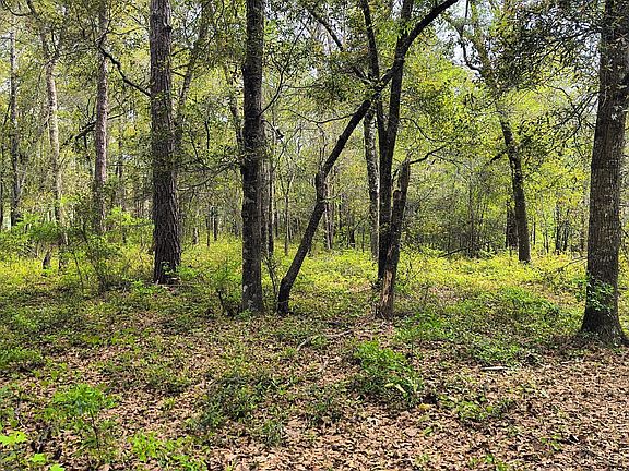 2nd image of 779 Cypress Lakes Circle SE