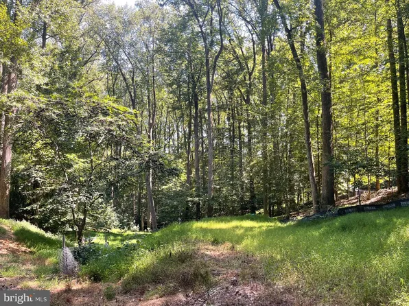 9203 Potomac Ridge Rd, Great Falls, VA 22066