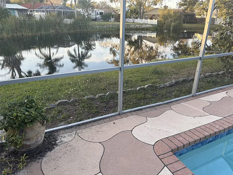 Pond View