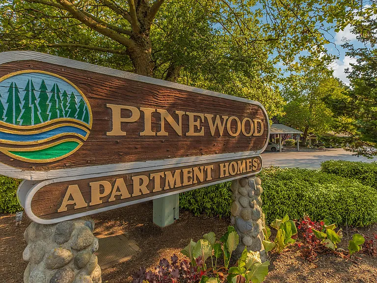 Pinewood Village Apartments — Photo 21
