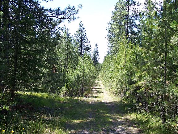 North border of 10 acres