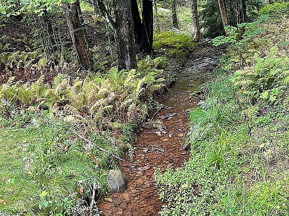 Creek