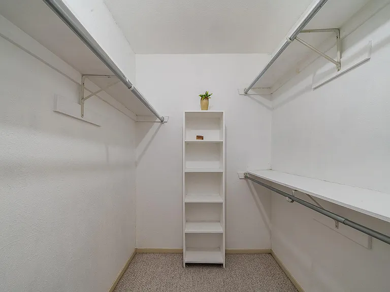 6009 Spring Flower Trl — Photo 15