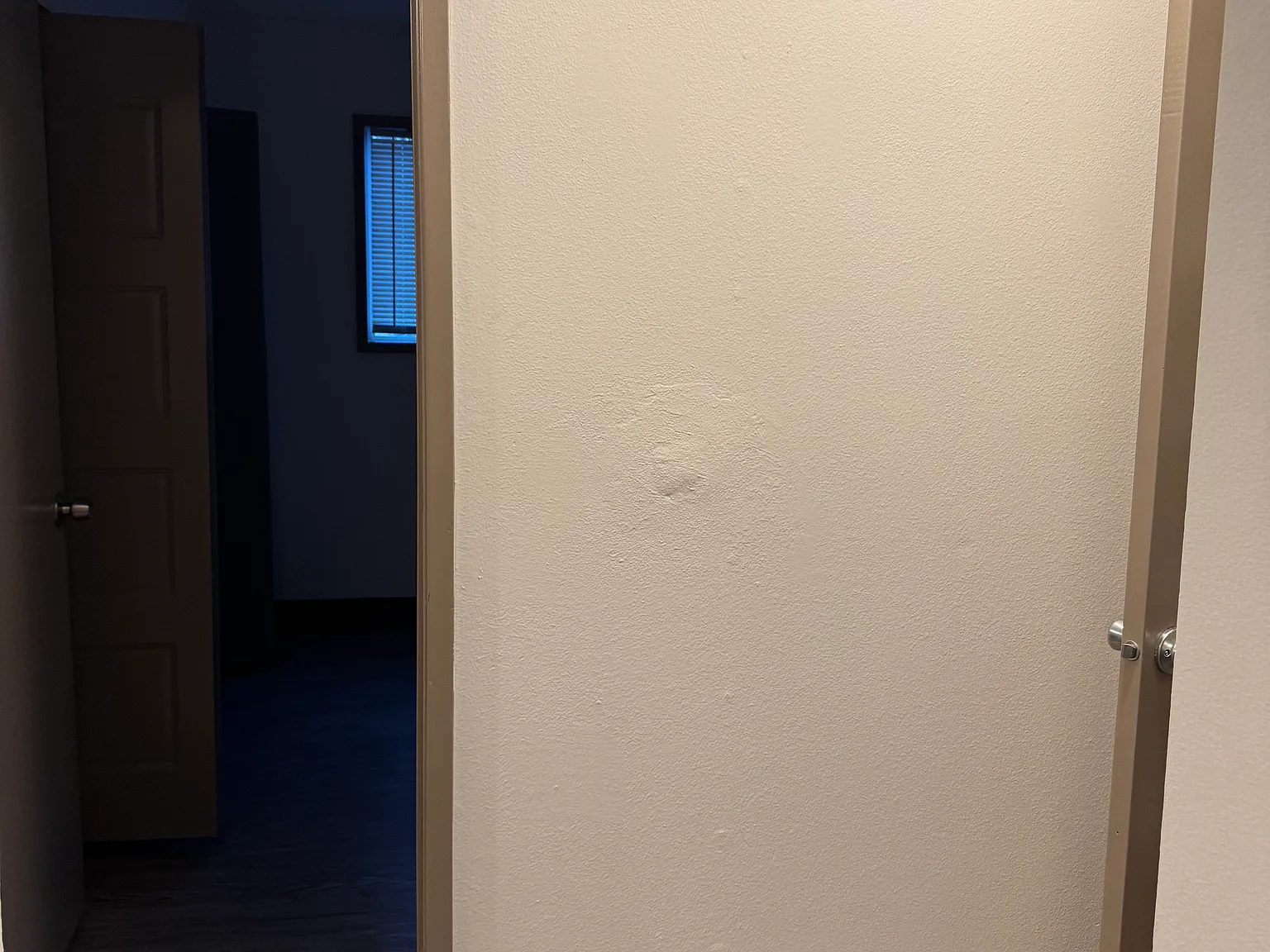 2 bed, 744 sqft, $1,250 — Photo 4