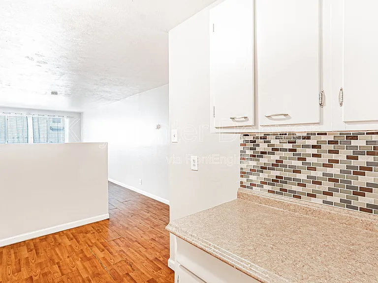 1243 N Washington St #303 — Photo 5