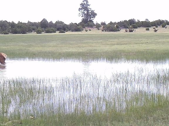 5th image of 2 County Road 51