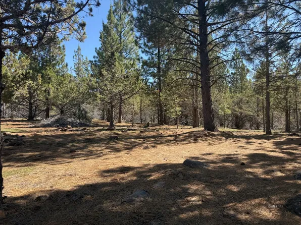 46N06CCOLD Creek Spur, Davis Creek, CA 96108