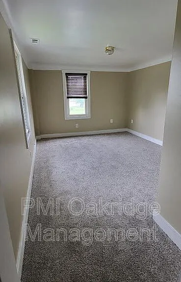 906 1/2 Race Dr — Photo 5