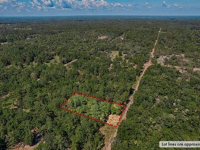 0 NE 83rd Ln, Bronson, FL, 32621