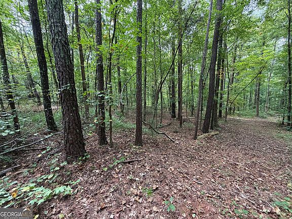 5th image of 301 Wolf Creek Pl
