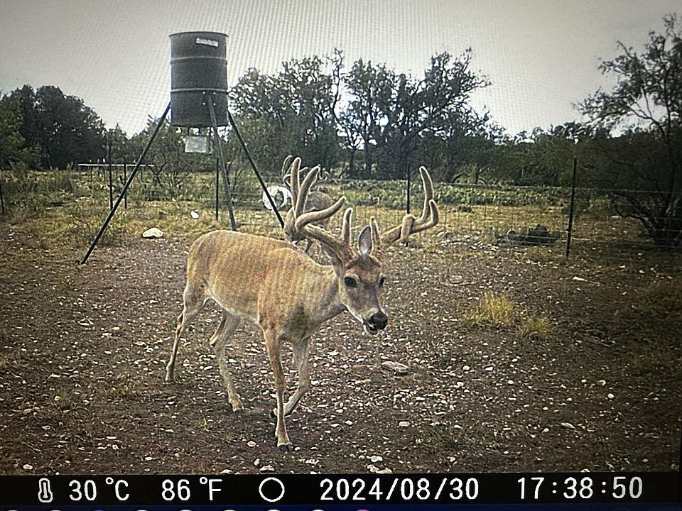 1st image of 1335 Ocelot Rd #See