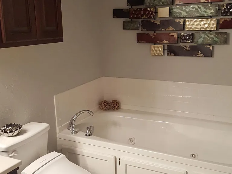 3117 White Tail Dr — Photo 3