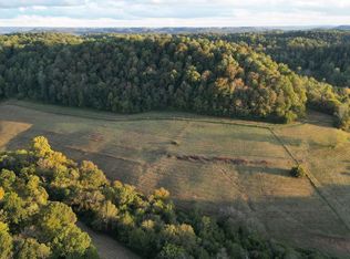 46 Carver Hollow Ln, Pleasant Shade, TN 37145