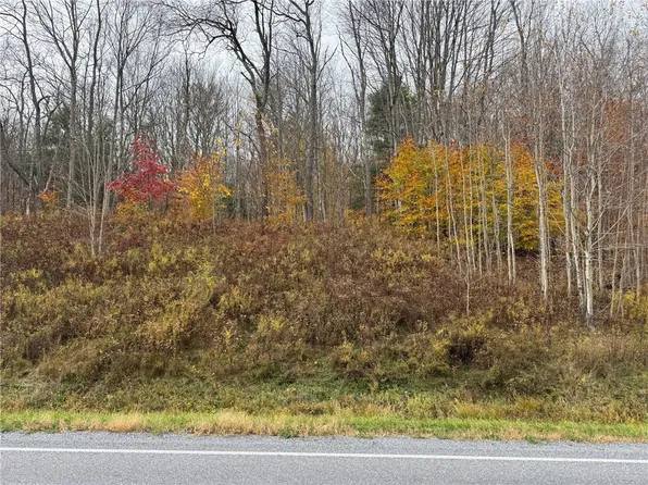 County Highway 10 Lot 39, East Meredith, NY 13757