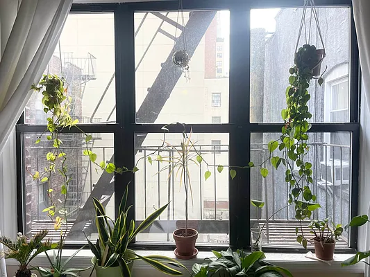 Rented by Douglas Elliman | media 8