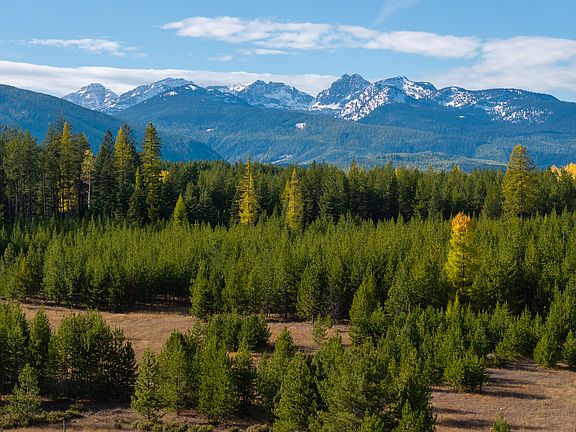 125th image of this home