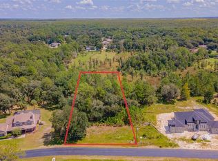 8547 Spring Forest Ln #41, Wesley Chapel, FL 33544