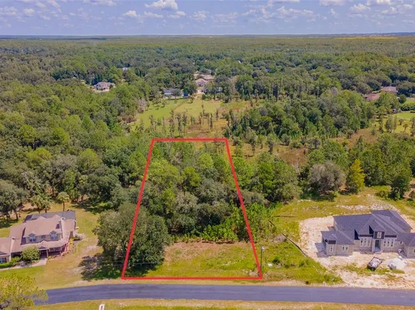 8547 Spring Forest Ln #41, Wesley Chapel, FL 33544