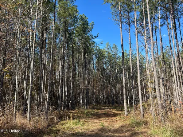 Coal Bluff Rd, Lena, MS 39094