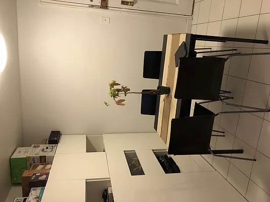 Rented by Prime Realty | media 10