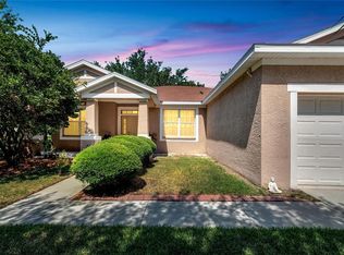11419 Bridge Pine Dr, Riverview, FL 33569