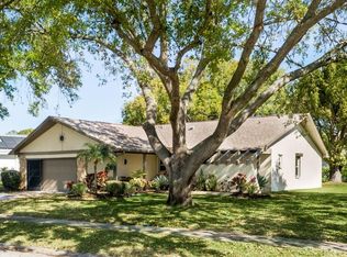 907 Gillespie Dr, Palm Harbor, FL 34684