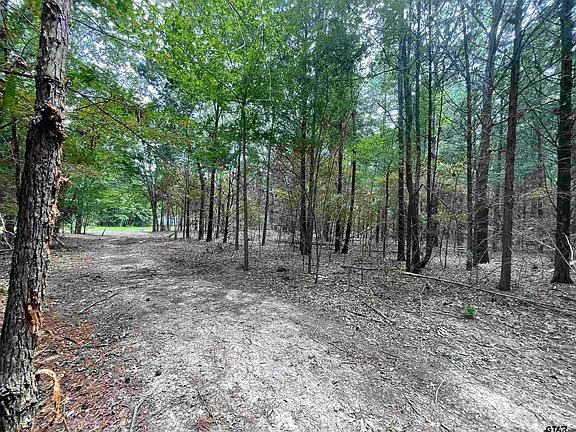 5th image of TRACT 3 Vz County Road 4910