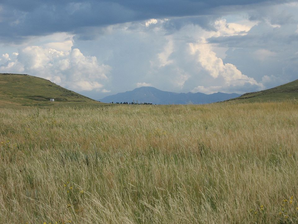 2nd image of 40 Acres Larkspur Co
