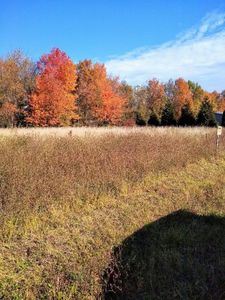 0 Covington Rd #6, Leicester, NY, 14481