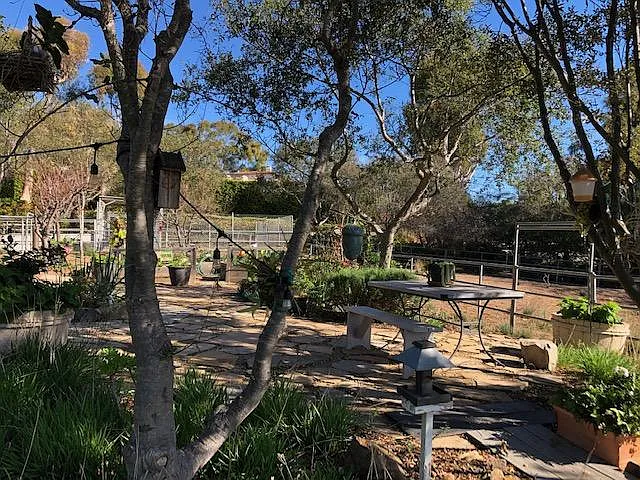 27975 Winding Way — Photo 12