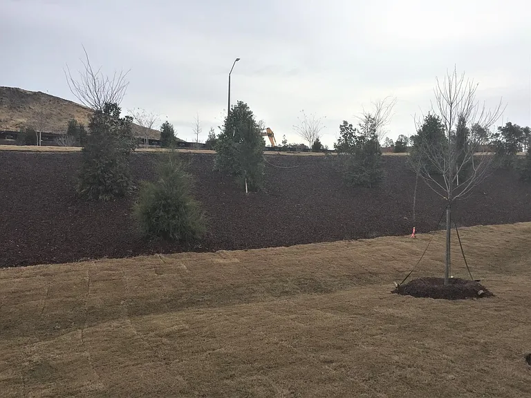 1157 Canyon Shadows Ct — Photo 28