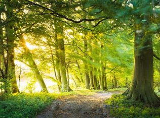 473 Old Holderford Rd, Kingston, TN 37763