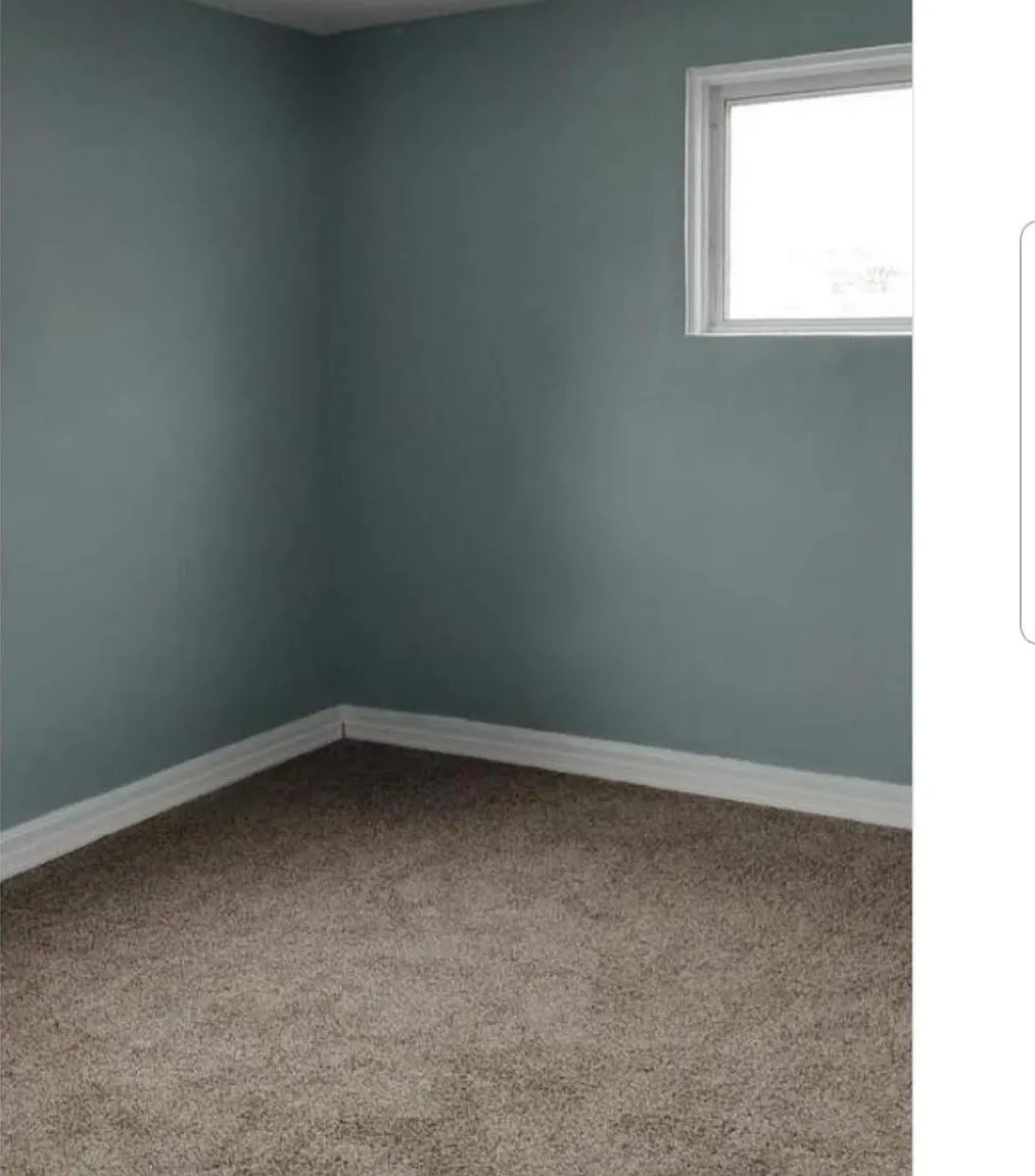 1 bed, $1,200 — Photo 2