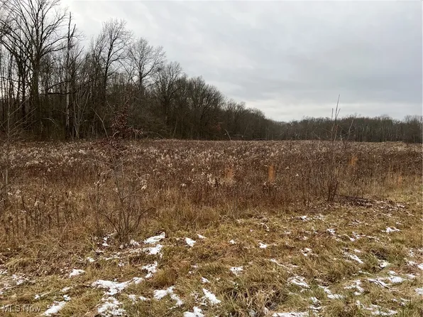 14 State Rte, Deerfield, OH 44411