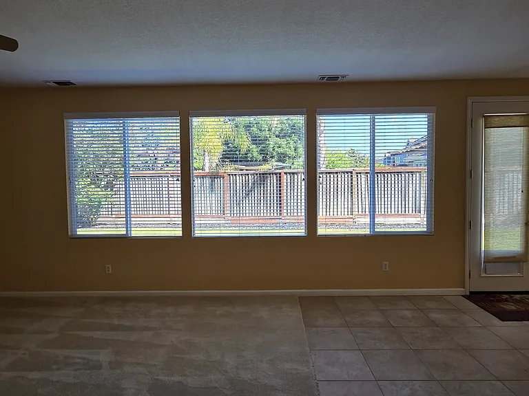4206 Virginia Pine Ct — Photo 27