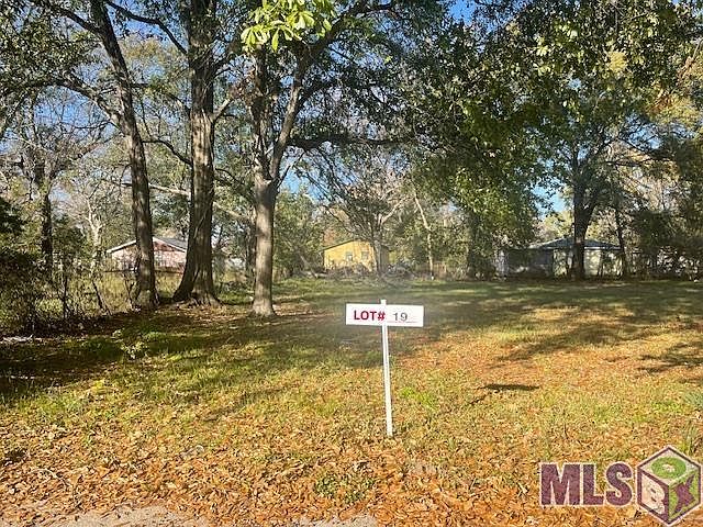 2nd image of LOT 19 Cardinal St