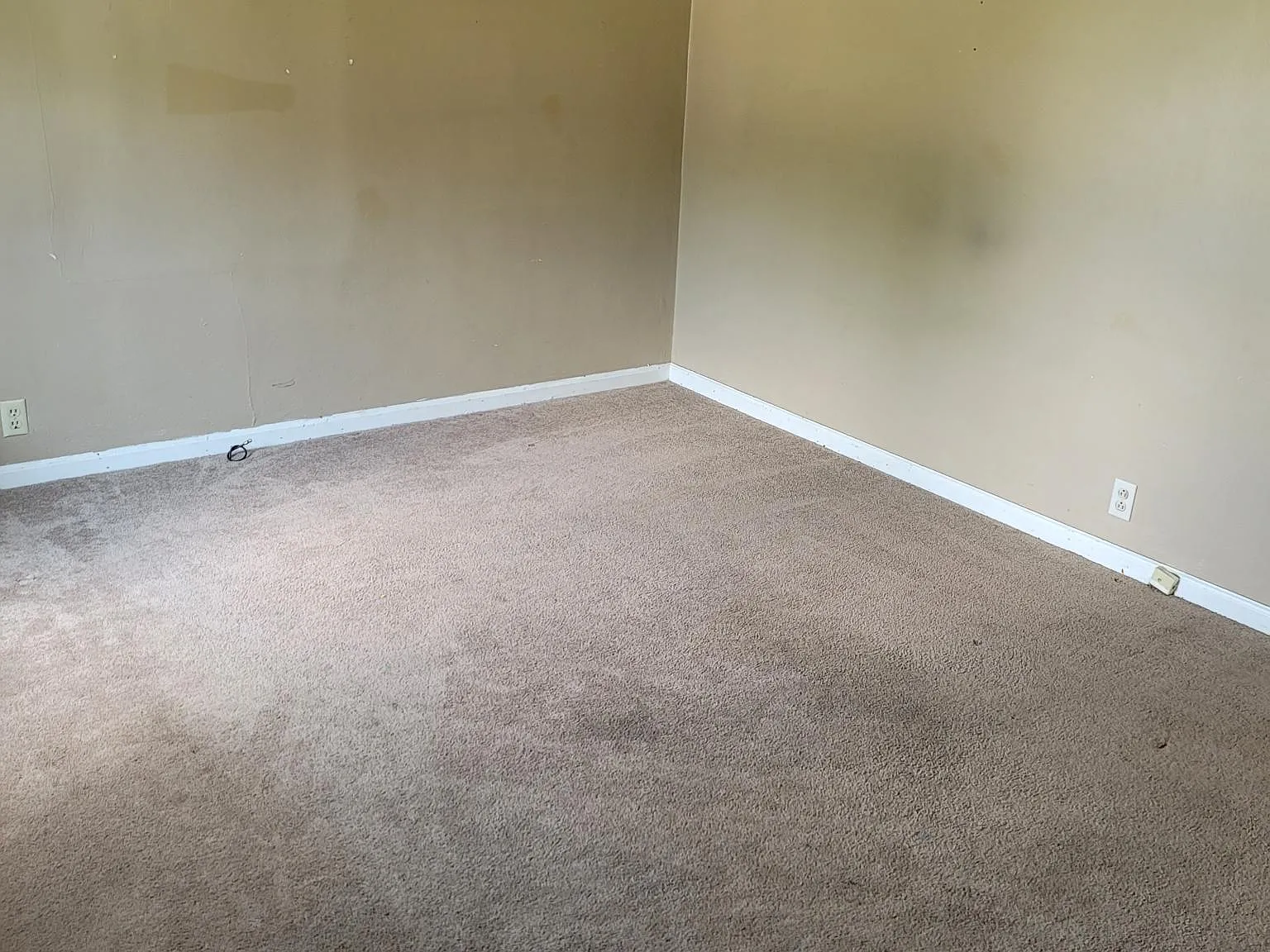 3 bed, 1320 sqft, $1,253 — Photo 3