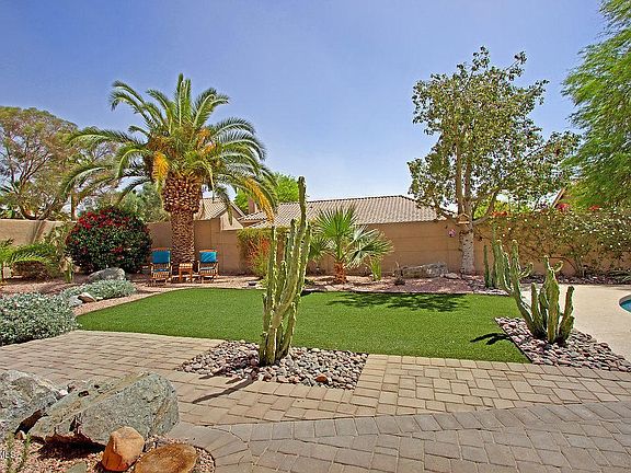 Backyard_5362
