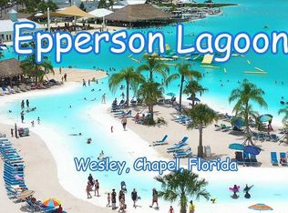 31589 Blue Passing Loop, Wesley Chapel, FL 33545