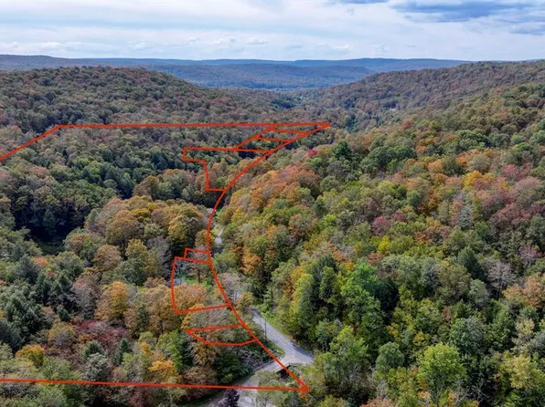 Grooville Road, Livingston Manor, NY 12758