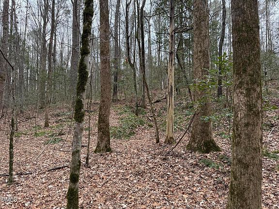 5th image of 0 Eatmon Rd