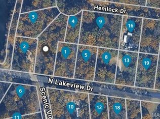 2051 N Lake View Dr, Bonne Terre, MO 63628