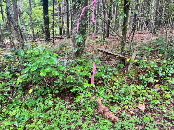 LOT 4 Prigmore Ridge Rd, Decatur, TN 37322