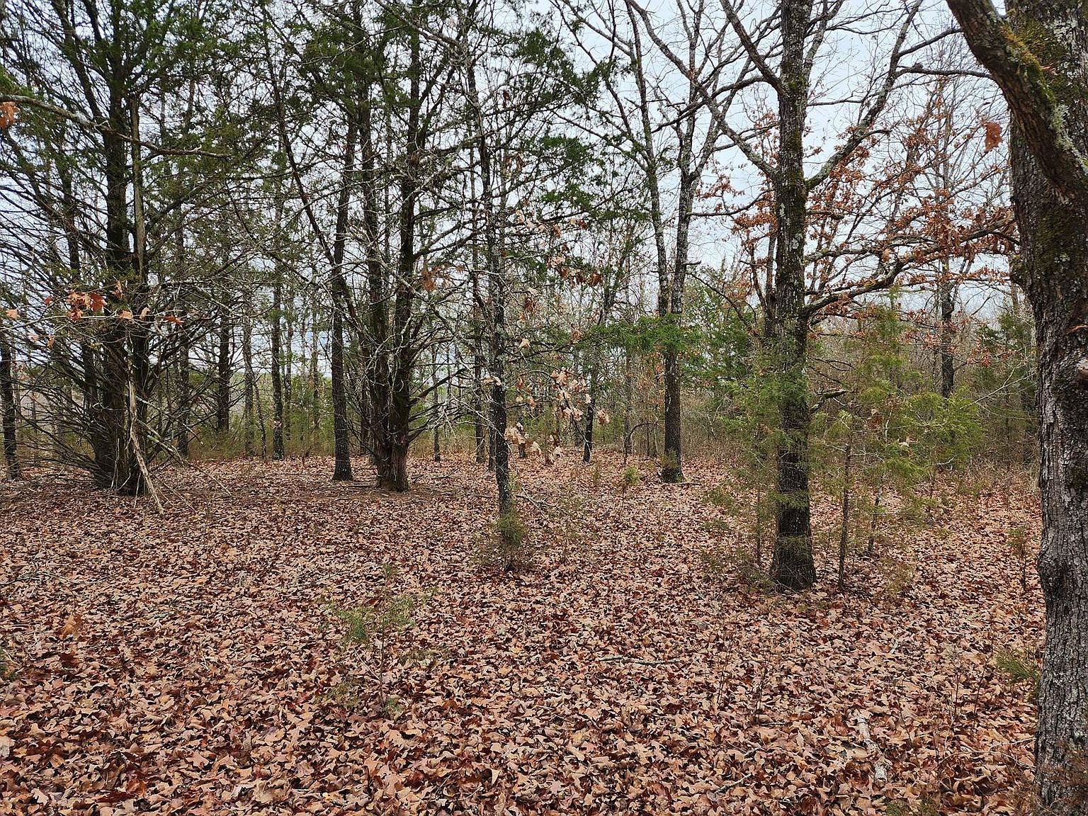 1 Physical Address, Talihina, OK 74571 Zillow