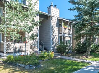 1335 Sparta Plz UNIT 11, Steamboat Springs, CO 80487