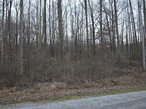 5th image of 215 War Eagle Dr